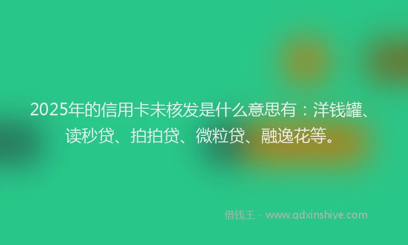 2025年的信用卡未核发是什么意思有：洋钱罐、读秒贷、拍拍贷、微粒贷、融逸花等。