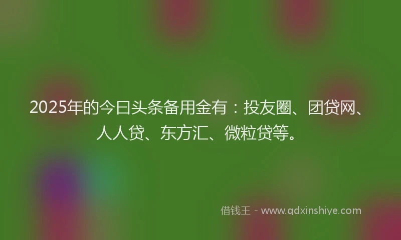 2025年的今曰头条备用金有：投友圈、团贷网、人人贷、东方汇、微粒贷等。