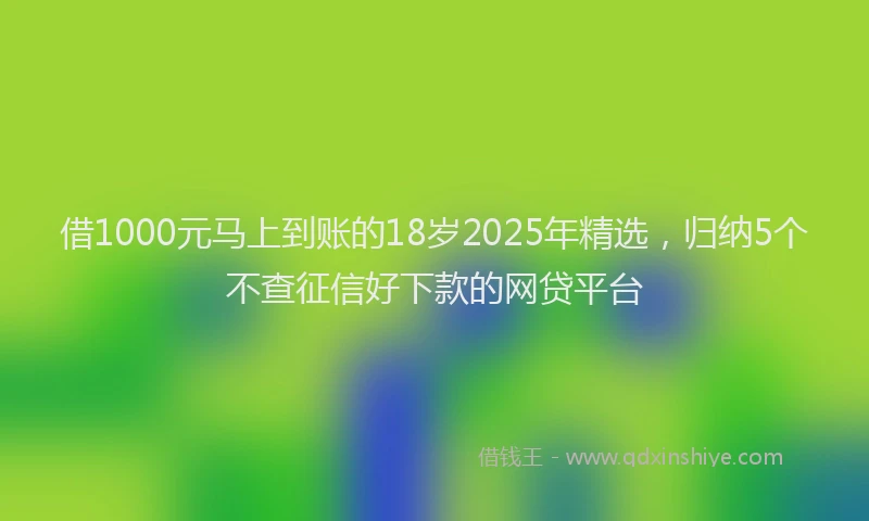 借1000元马上到账的18岁2025年精选，归纳5个不查征信好下款的网贷平台
