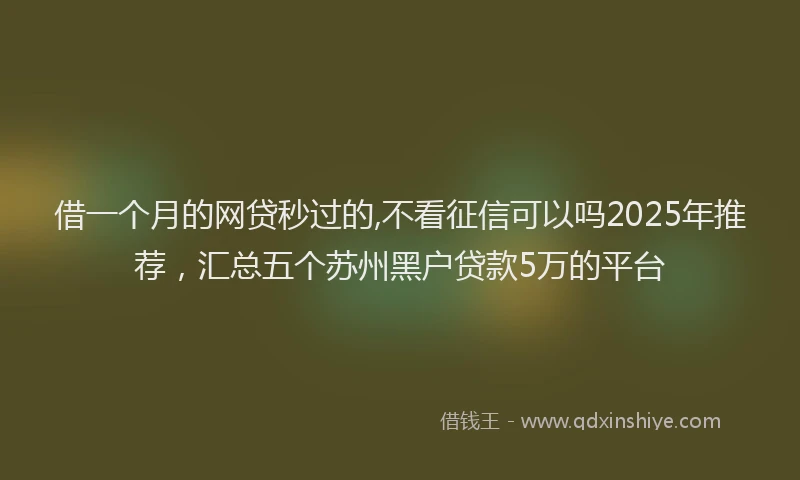 借一个月的网贷秒过的,不看征信可以吗2025年推荐，汇总五个苏州黑户贷款5万的平台
