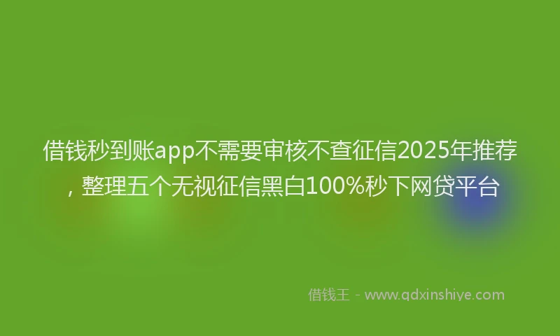 借钱秒到账app不需要审核不查征信2025年推荐，整理五个无视征信黑白100%秒下网贷平台