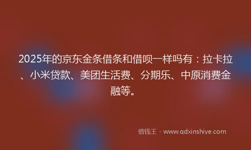 2025年的京东金条借条和借呗一样吗有：拉卡拉、小米贷款、美团生活费、分期乐、中原消费金融等。