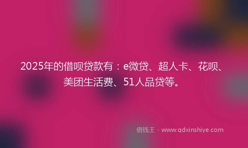 2025年的借呗贷款有：e微贷、超人卡、花呗、美团生活费、51人品贷等。