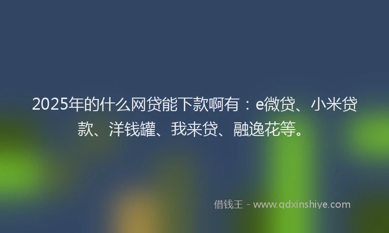 2025年的什么网贷能下款啊有：e微贷、小米贷款、洋钱罐、我来贷、融逸花等。