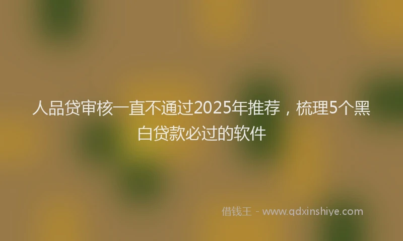 人品贷审核一直不通过2025年推荐，梳理5个黑白贷款必过的软件