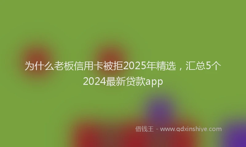 为什么老板信用卡被拒2025年精选，汇总5个2024最新贷款app