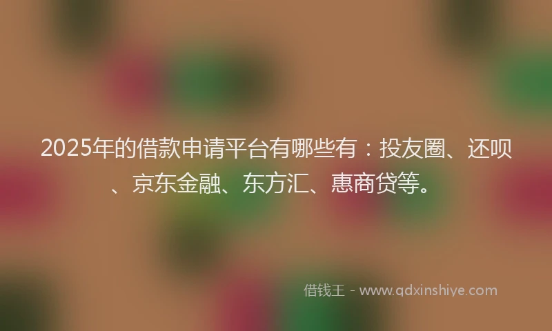 2025年的借款申请平台有哪些有：投友圈、还呗、京东金融、东方汇、惠商贷等。