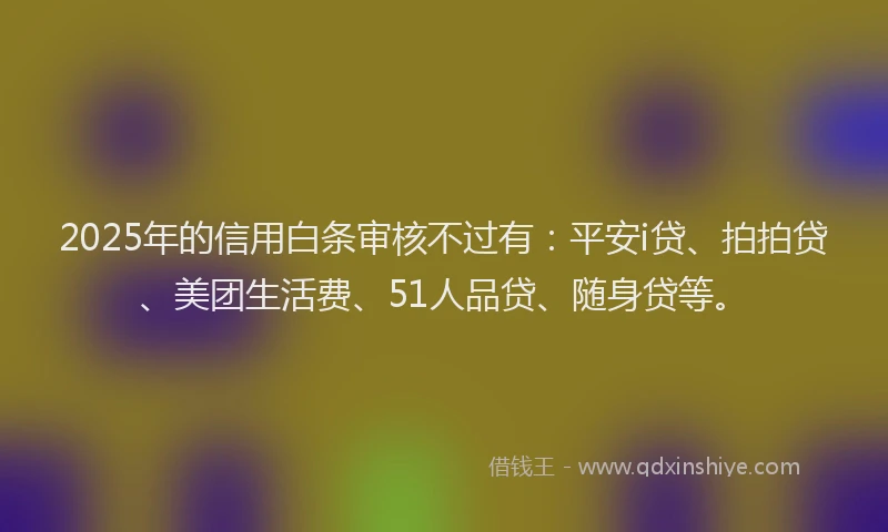 2025年的信用白条审核不过有：平安i贷、拍拍贷、美团生活费、51人品贷、随身贷等。