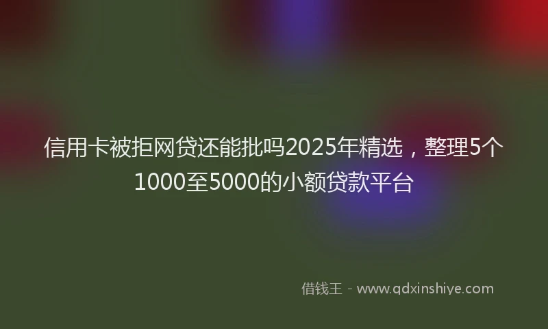 信用卡被拒网贷还能批吗2025年精选，整理5个1000至5000的小额贷款平台