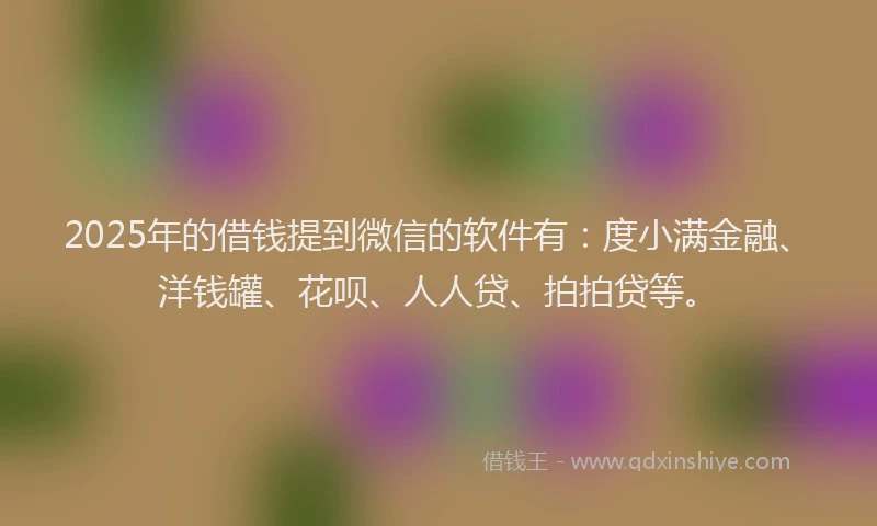2025年的借钱提到微信的软件有：度小满金融、洋钱罐、花呗、人人贷、拍拍贷等。