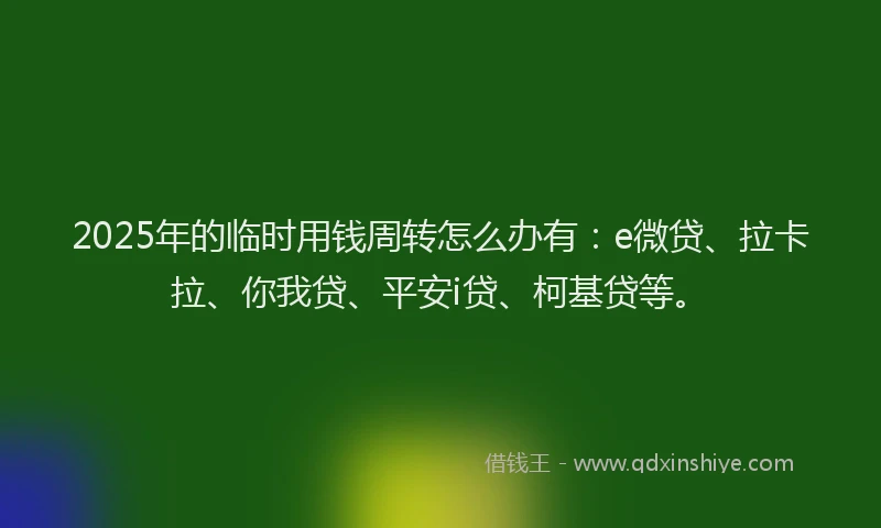 2025年的临时用钱周转怎么办有：e微贷、拉卡拉、你我贷、平安i贷、柯基贷等。