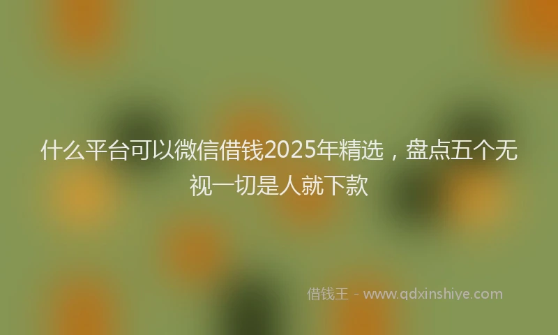 什么平台可以微信借钱2025年精选，盘点五个无视一切是人就下款