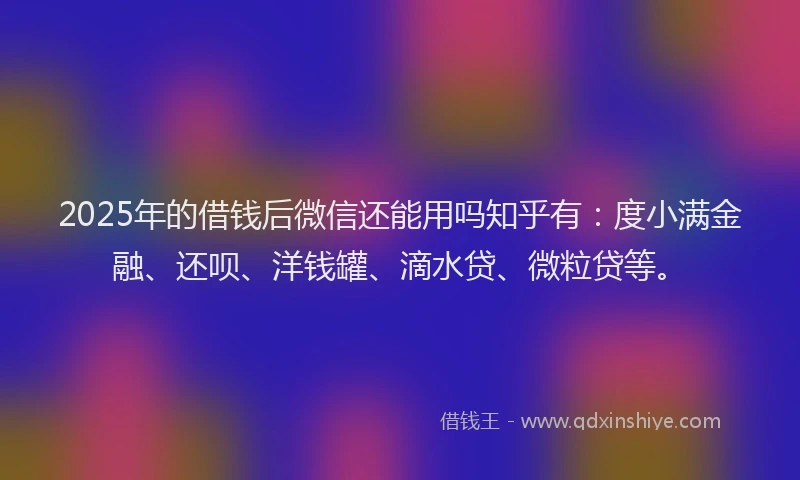 2025年的借钱后微信还能用吗知乎有：度小满金融、还呗、洋钱罐、滴水贷、微粒贷等。