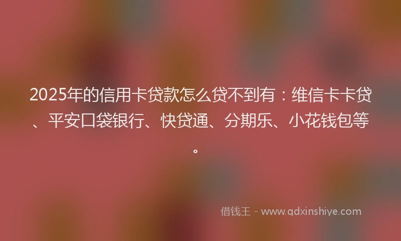 2025年的信用卡贷款怎么贷不到有：维信卡卡贷、平安口袋银行、快贷通、分期乐、小花钱包等。