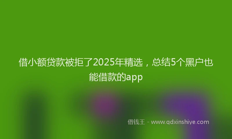 借小额贷款被拒了2025年精选，总结5个黑户也能借款的app