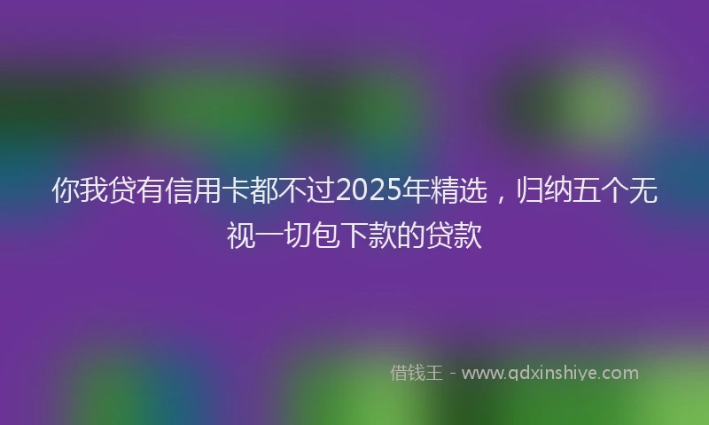 你我贷有信用卡都不过2025年精选，归纳五个无视一切包下款的贷款