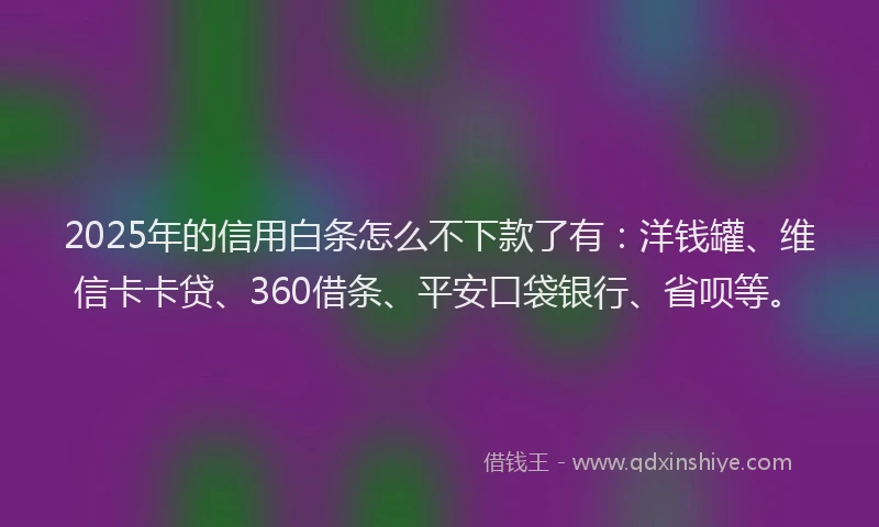 2025年的信用白条怎么不下款了有：洋钱罐、维信卡卡贷、360借条、平安口袋银行、省呗等。