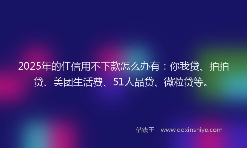 2025年的任信用不下款怎么办有：你我贷、拍拍贷、美团生活费、51人品贷、微粒贷等。
