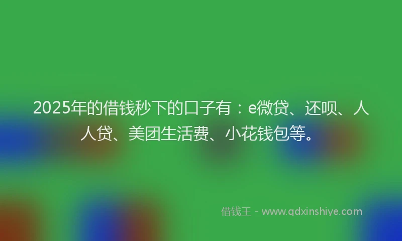 2025年的借钱秒下的口子有：e微贷、还呗、人人贷、美团生活费、小花钱包等。