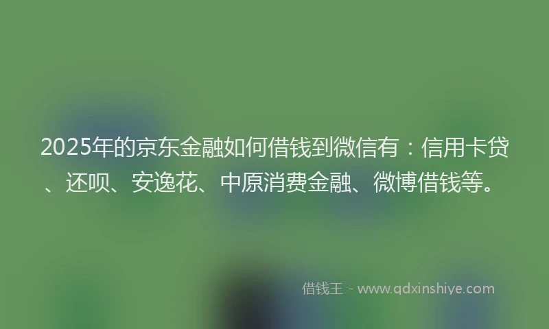 2025年的京东金融如何借钱到微信有：信用卡贷、还呗、安逸花、中原消费金融、微博借钱等。