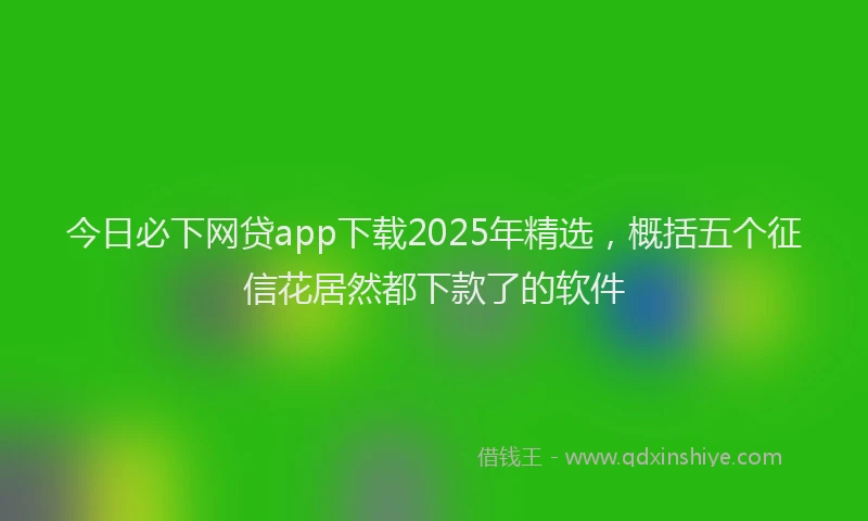 今日必下网贷app下载2025年精选，概括五个征信花居然都下款了的软件