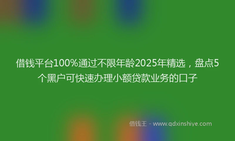 借钱平台100%通过不限年龄2025年精选，盘点5个黑户可快速办理小额贷款业务的口子