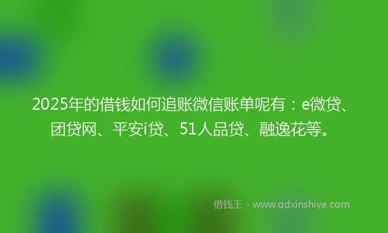 2025年的借钱如何追账微信账单呢有：e微贷、团贷网、平安i贷、51人品贷、融逸花等。