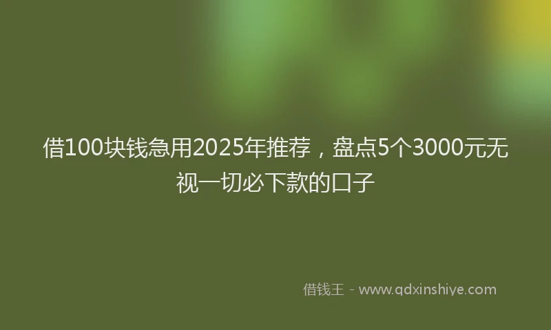 借100块钱急用2025年推荐，盘点5个3000元无视一切必下款的口子