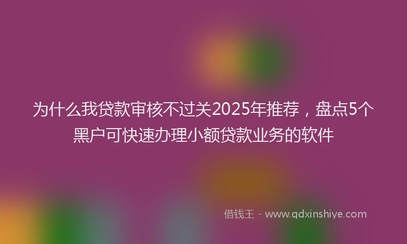 为什么我贷款审核不过关2025年推荐，盘点5个黑户可快速办理小额贷款业务的软件
