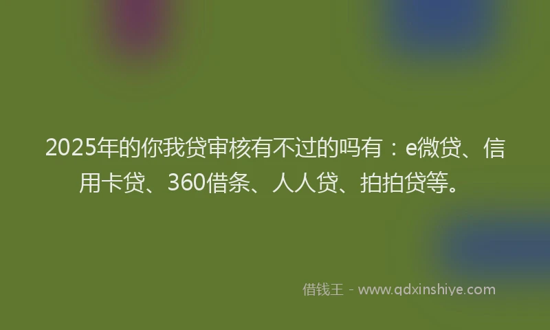 2025年的你我贷审核有不过的吗有：e微贷、信用卡贷、360借条、人人贷、拍拍贷等。
