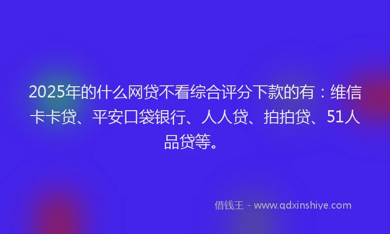 2025年的什么网贷不看综合评分下款的有：维信卡卡贷、平安口袋银行、人人贷、拍拍贷、51人品贷等。