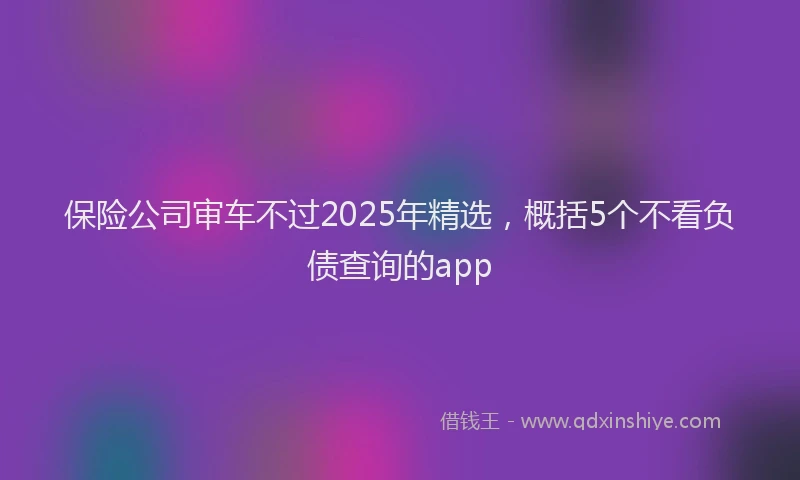 保险公司审车不过2025年精选，概括5个不看负债查询的app