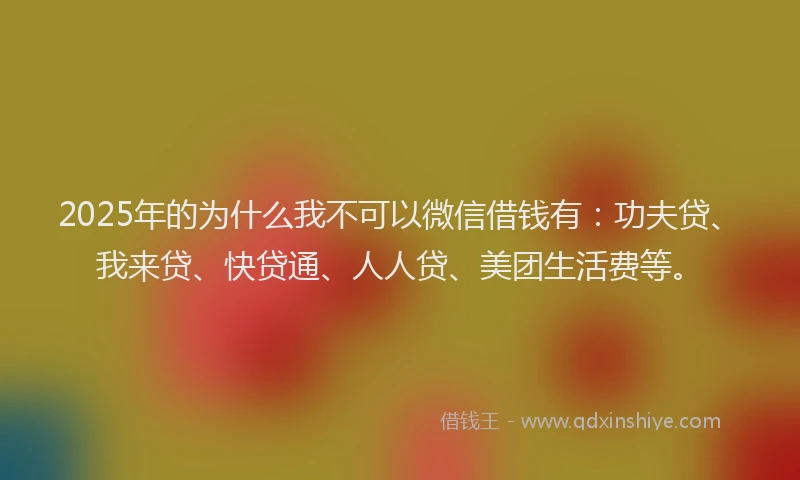 2025年的为什么我不可以微信借钱有：功夫贷、我来贷、快贷通、人人贷、美团生活费等。