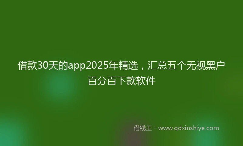 借款30天的app2025年精选，汇总五个无视黑户百分百下款软件