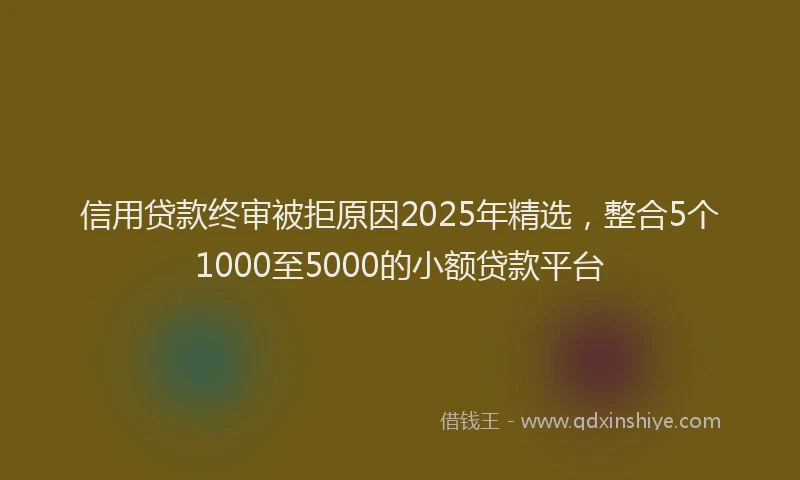 信用贷款终审被拒原因2025年精选，整合5个1000至5000的小额贷款平台