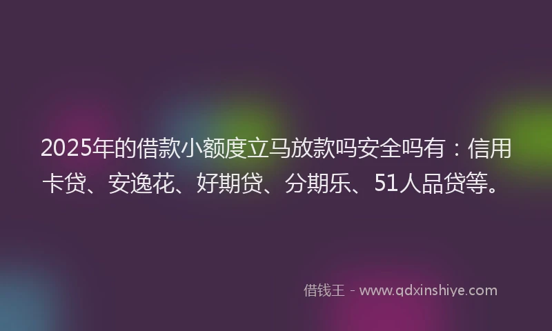 2025年的借款小额度立马放款吗安全吗有：信用卡贷、安逸花、好期贷、分期乐、51人品贷等。