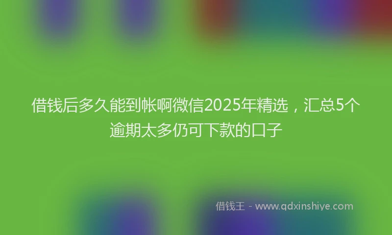 借钱后多久能到帐啊微信2025年精选，汇总5个逾期太多仍可下款的口子