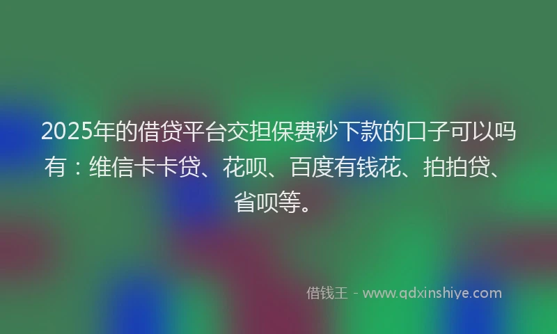 2025年的借贷平台交担保费秒下款的口子可以吗有：维信卡卡贷、花呗、百度有钱花、拍拍贷、省呗等。
