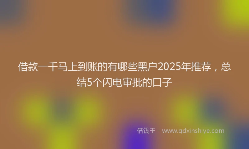 借款一千马上到账的有哪些黑户2025年推荐，总结5个闪电审批的口子