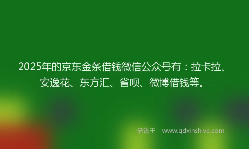 2025年的京东金条借钱微信公众号有：拉卡拉、安逸花、东方汇、省呗、微博借钱等。