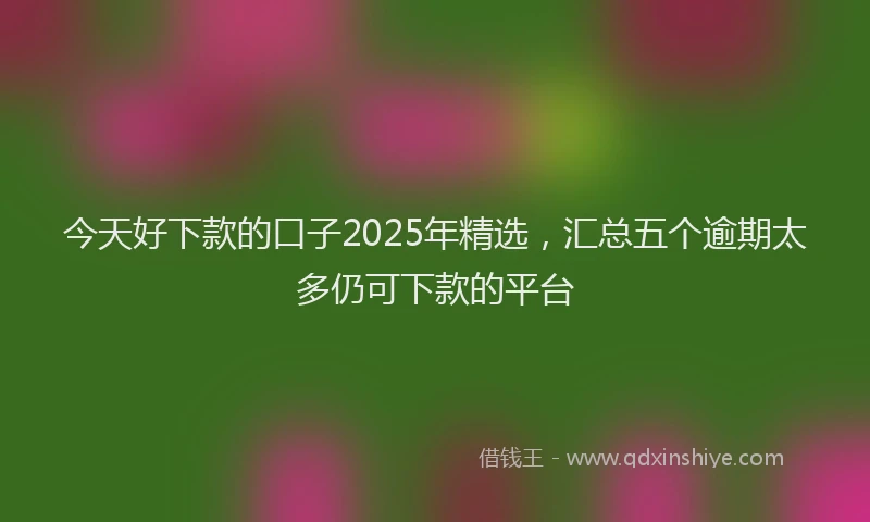 今天好下款的口子2025年精选，汇总五个逾期太多仍可下款的平台