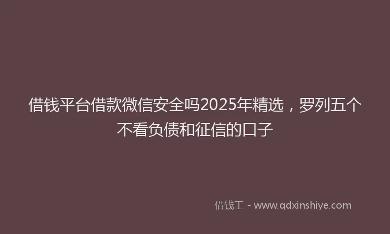 借钱平台借款微信安全吗2025年精选，罗列五个不看负债和征信的口子