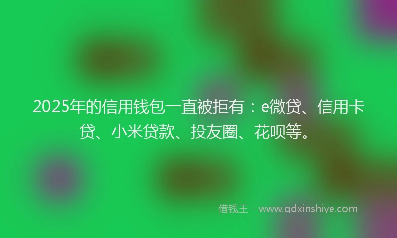 2025年的信用钱包一直被拒有：e微贷、信用卡贷、小米贷款、投友圈、花呗等。