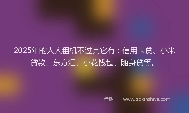 2025年的人人租机不过其它有：信用卡贷、小米贷款、东方汇、小花钱包、随身贷等。