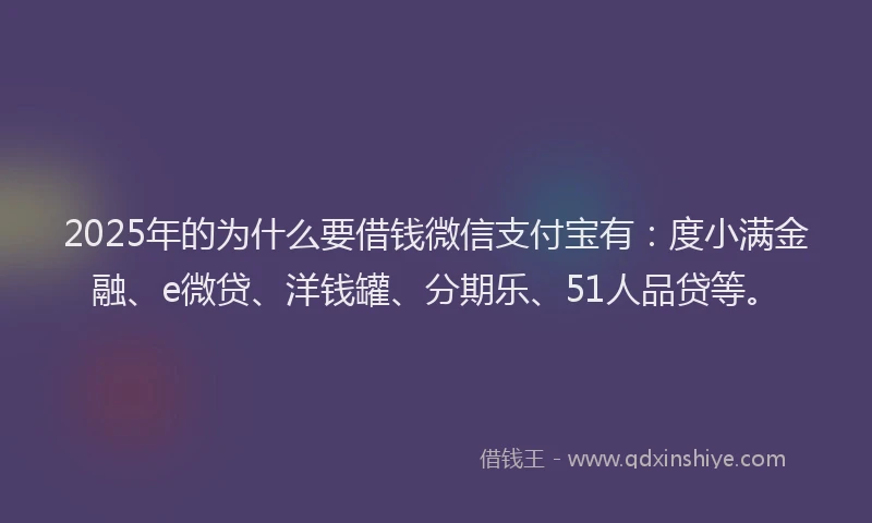 2025年的为什么要借钱微信支付宝有：度小满金融、e微贷、洋钱罐、分期乐、51人品贷等。