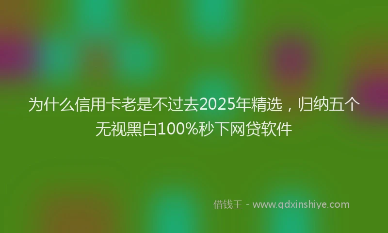 为什么信用卡老是不过去2025年精选，归纳五个无视黑白100%秒下网贷软件