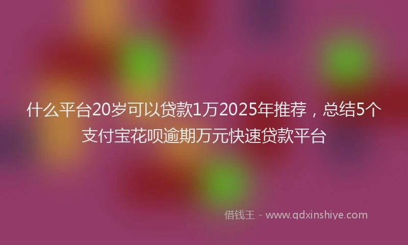 什么平台20岁可以贷款1万2025年推荐，总结5个支付宝花呗逾期万元快速贷款平台
