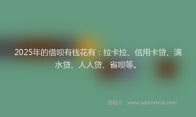 2025年的借呗有钱花有：拉卡拉、信用卡贷、滴水贷、人人贷、省呗等。