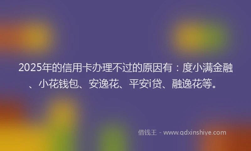 2025年的信用卡办理不过的原因有：度小满金融、小花钱包、安逸花、平安i贷、融逸花等。