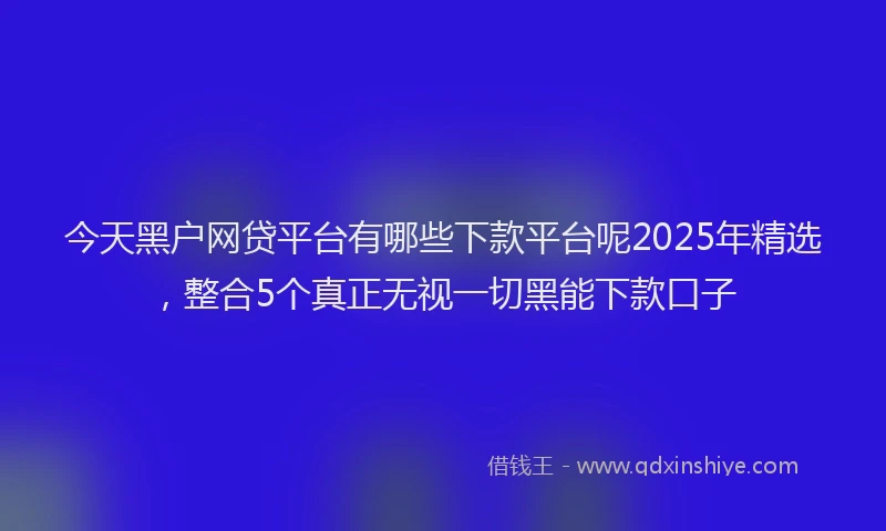今天黑户网贷平台有哪些下款平台呢2025年精选，整合5个真正无视一切黑能下款口子